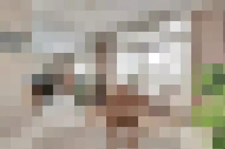 Noordkade 35 Waddinxveen thumbnail 9