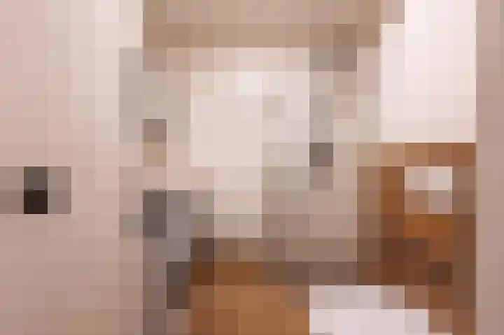Noordkade 63 Spijkenisse thumbnail 4