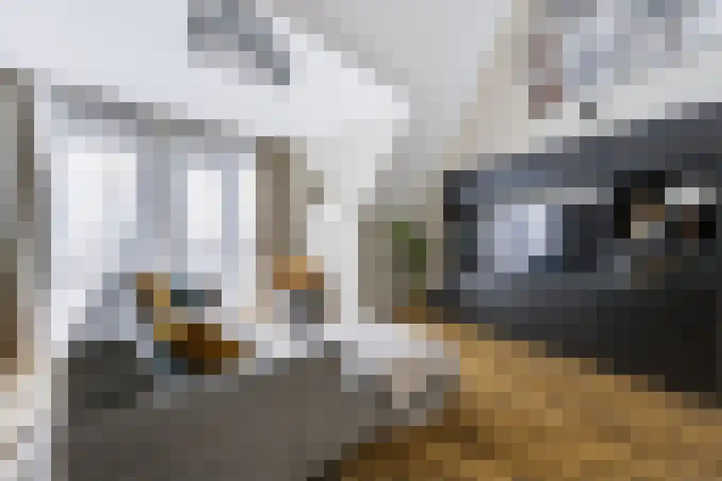 Noordkade 69 Spijkenisse thumbnail 19