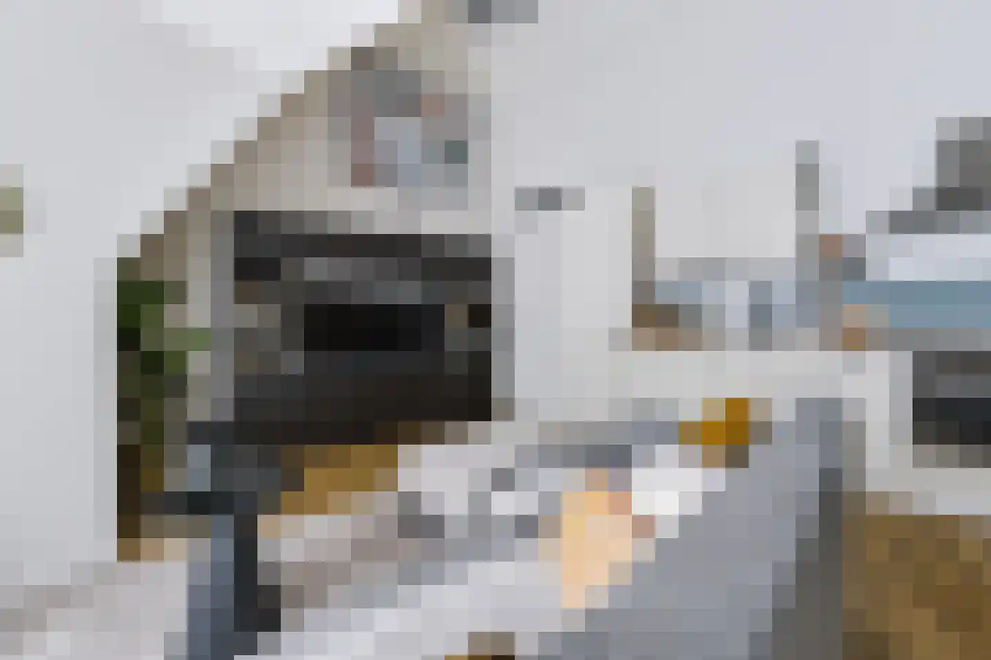 Noordkade 69 Spijkenisse thumbnail 20