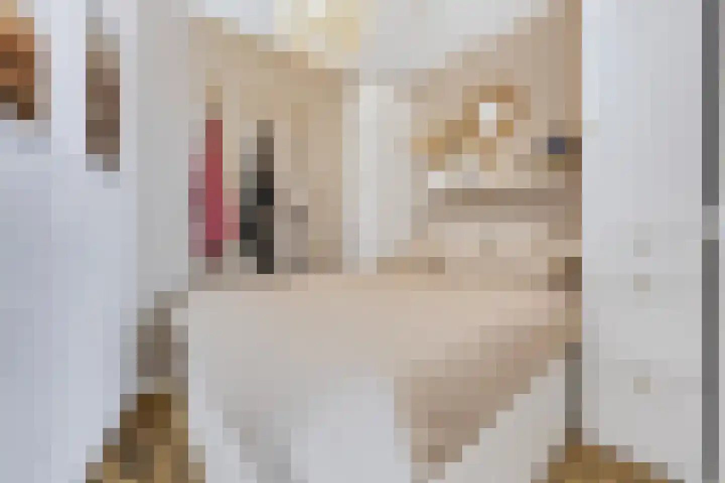 Noordkade 69 Spijkenisse thumbnail 22