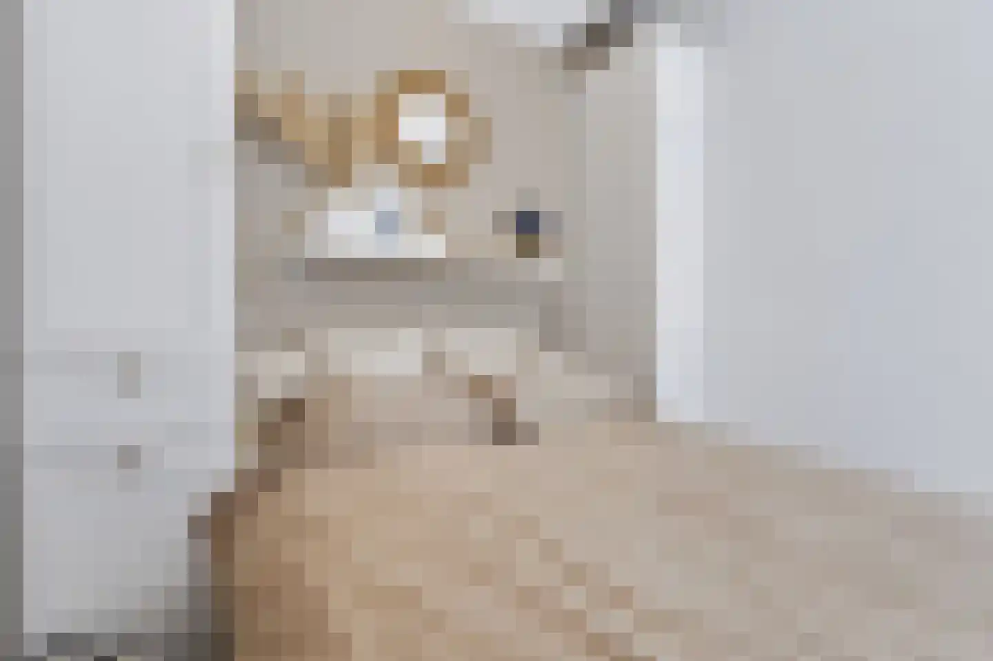 Noordkade 69 Spijkenisse thumbnail 23