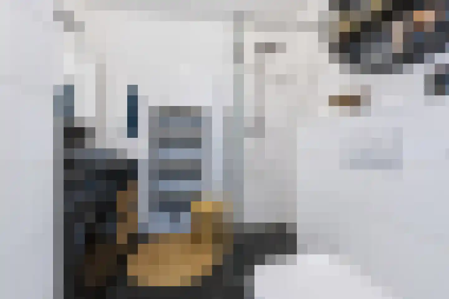 Noordkade 69 Spijkenisse thumbnail 5