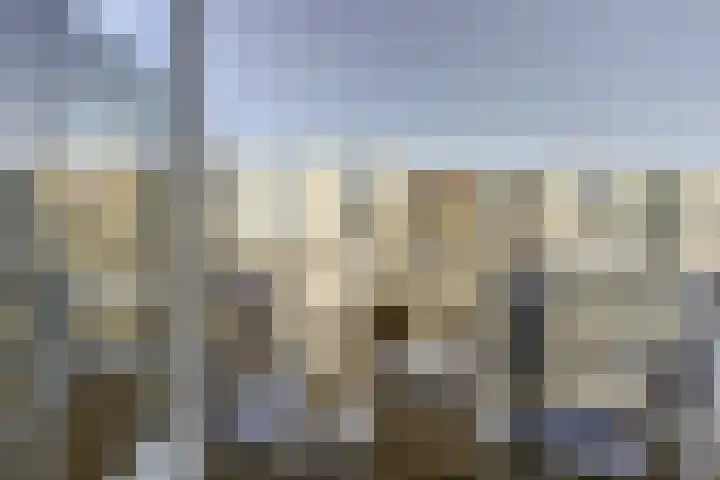 Noordkade 78 Spijkenisse thumbnail 13