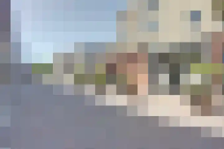 Noordkade 78 Spijkenisse thumbnail 19