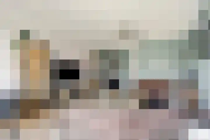 Noordkade 78 Spijkenisse thumbnail 5