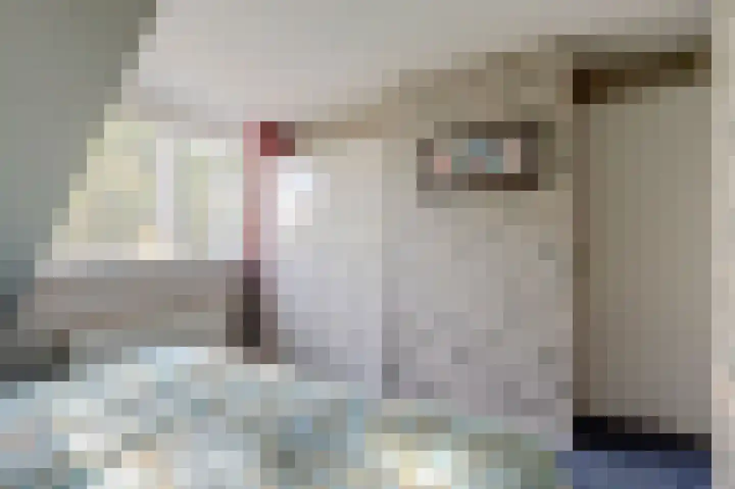 Noordkade 8 Waddinxveen thumbnail 34