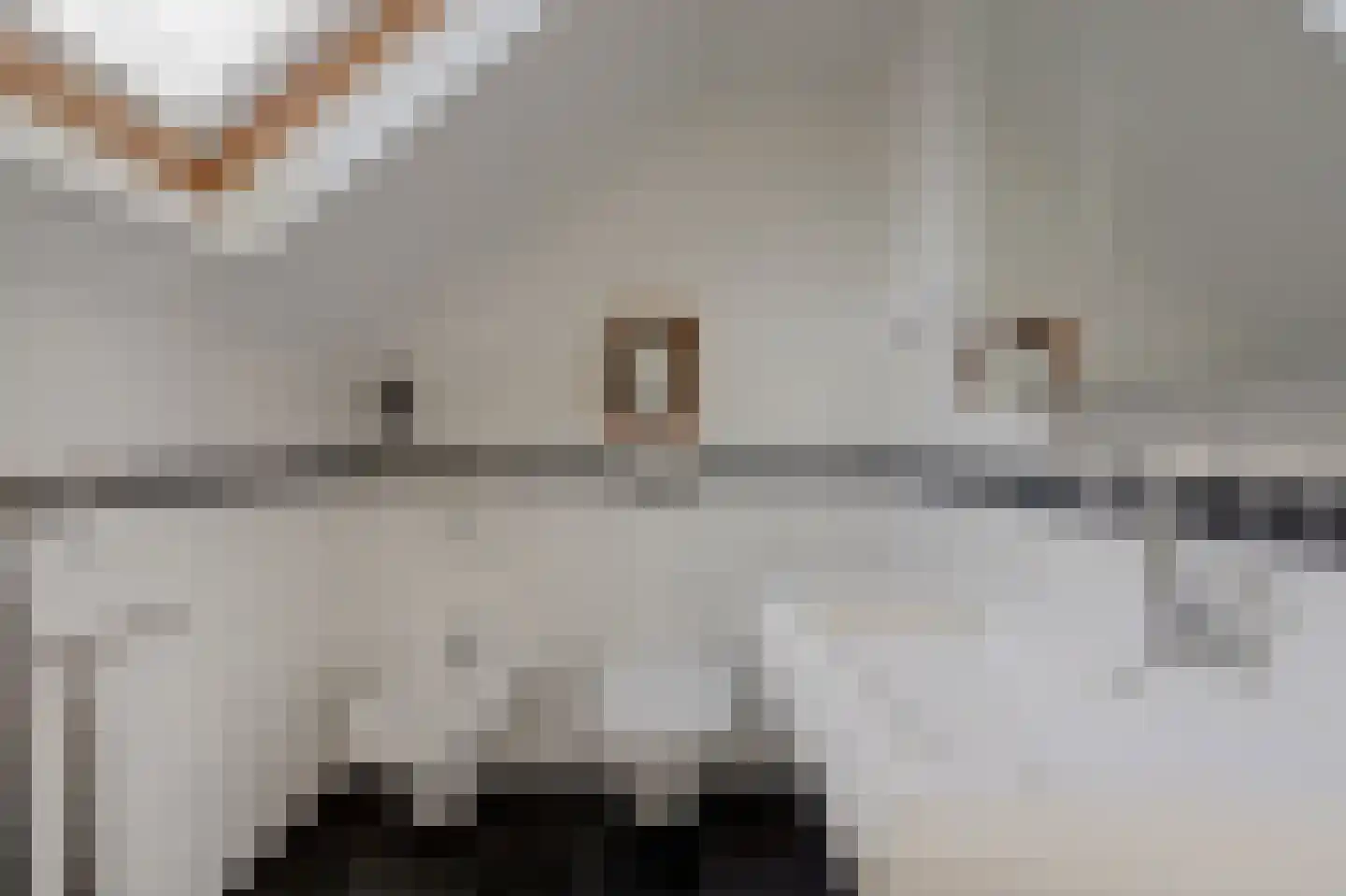 Noordkade 8 Waddinxveen thumbnail 37