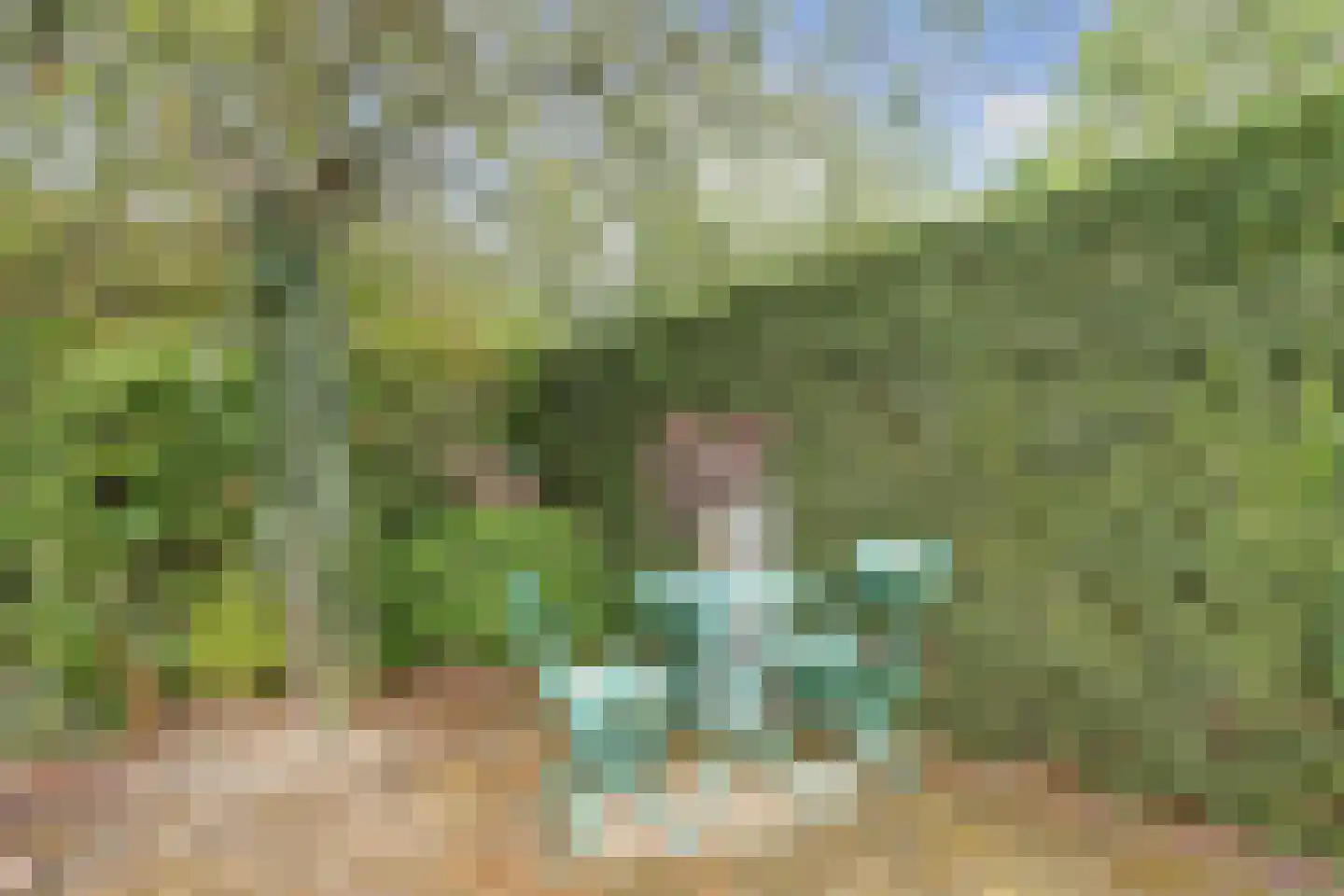 Noordkade 8 Waddinxveen thumbnail 45