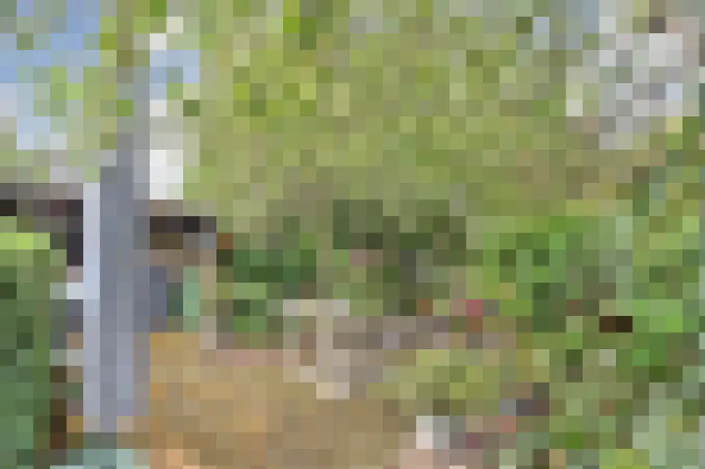Noordkade 8 Waddinxveen thumbnail 46