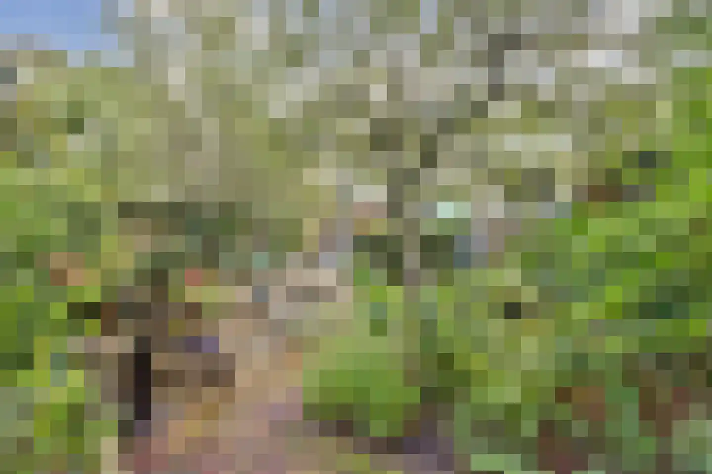 Noordkade 8 Waddinxveen thumbnail 47