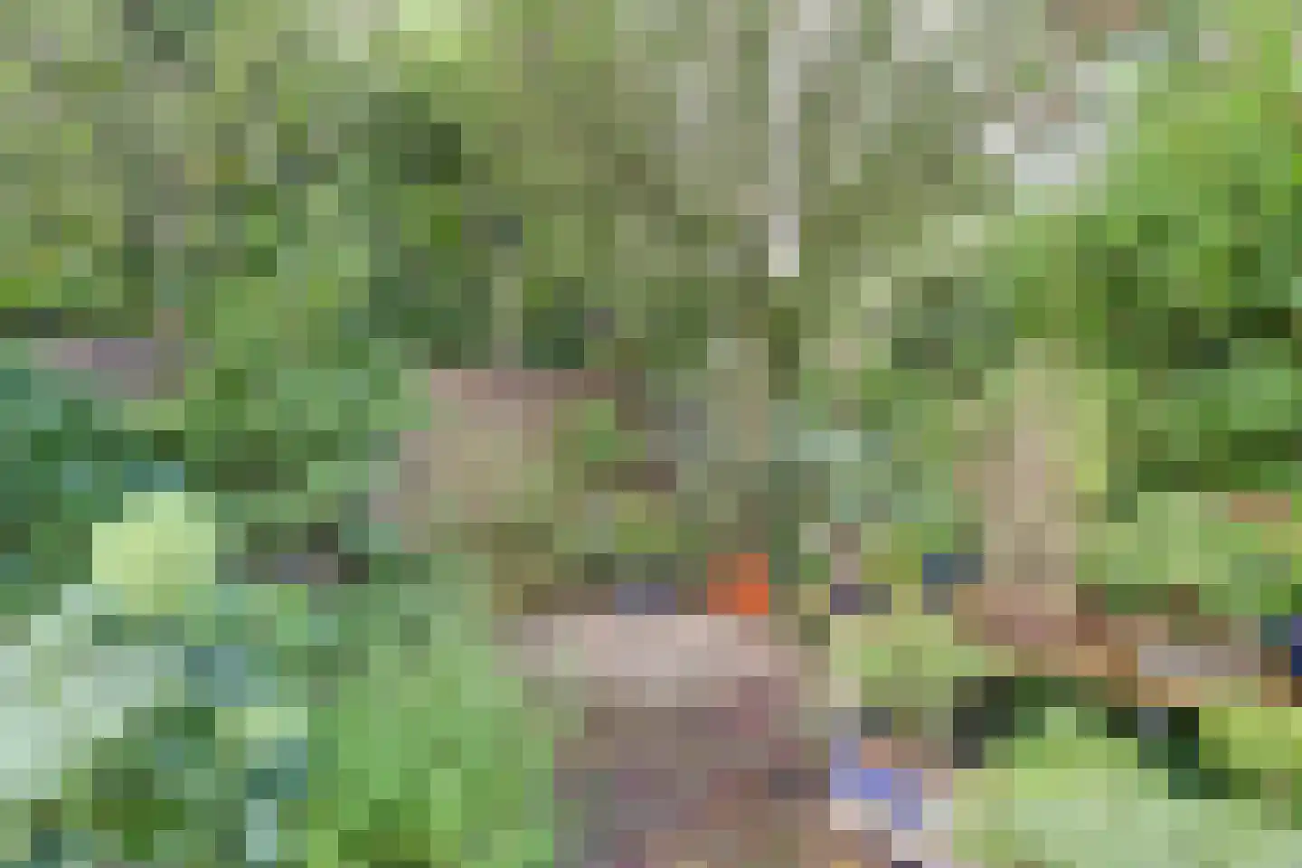 Noordkade 8 Waddinxveen thumbnail 48