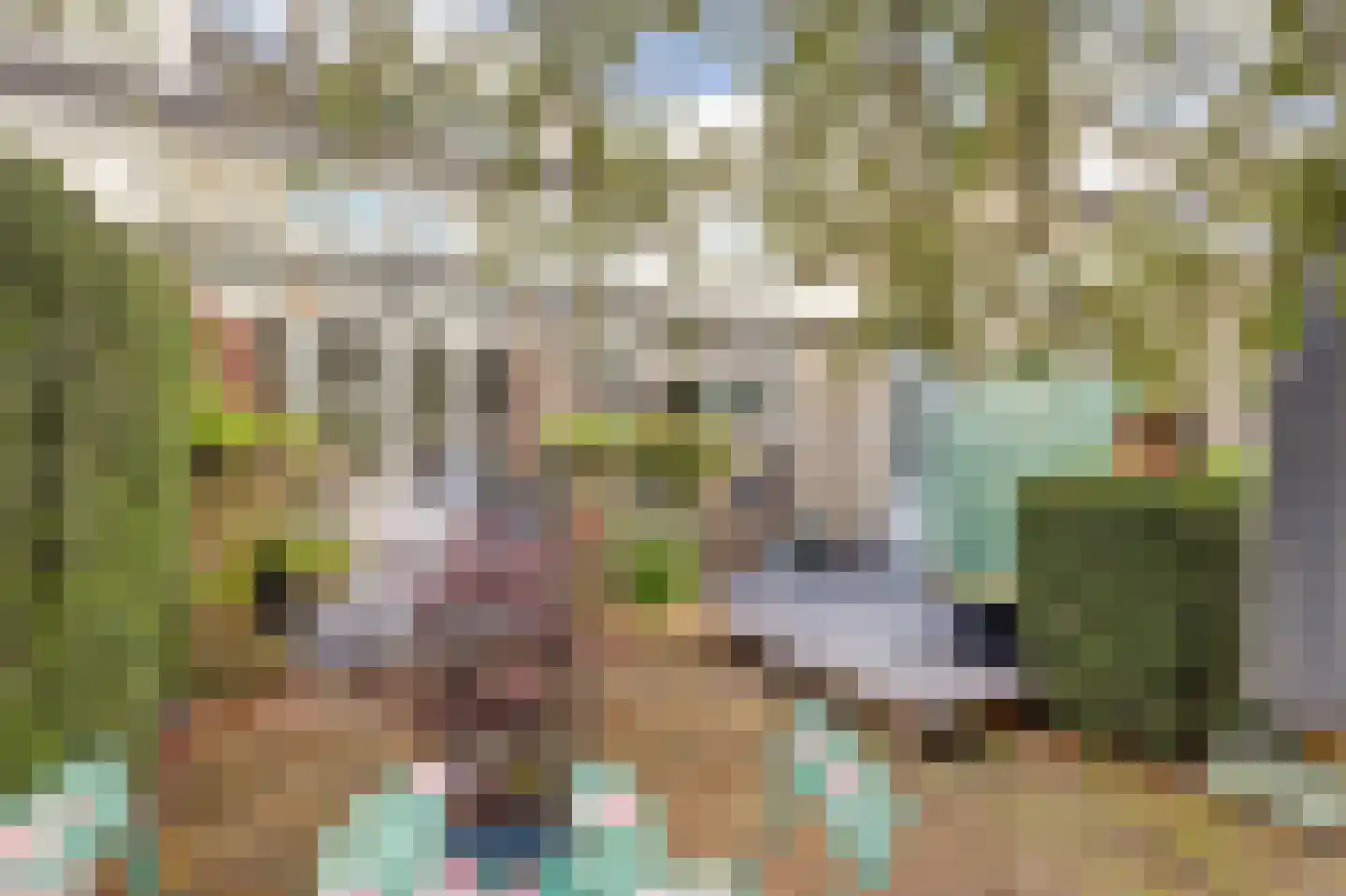 Noordkade 8 Waddinxveen thumbnail 50