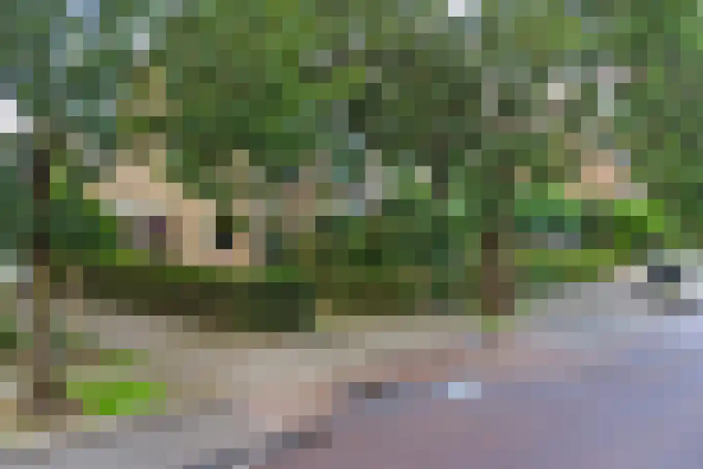 Noordkade 8 Waddinxveen thumbnail 53