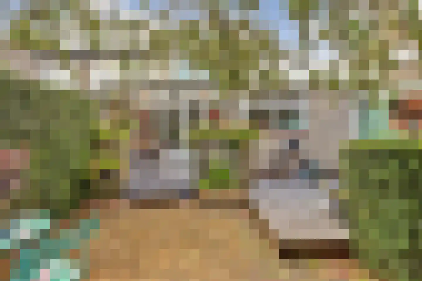 Noordkade 8 Waddinxveen thumbnail 6