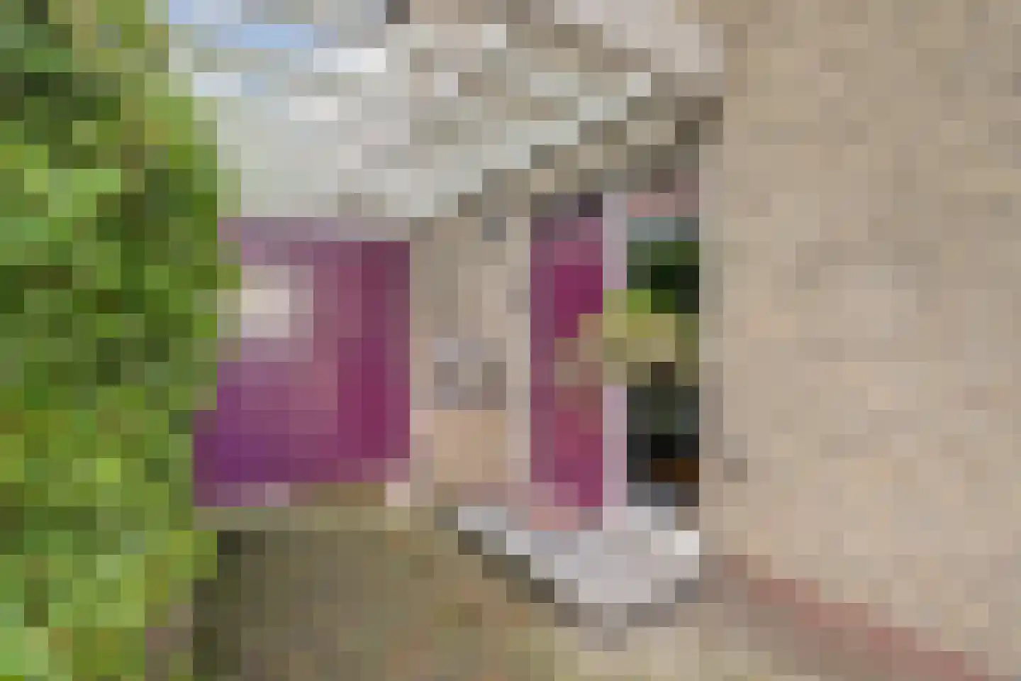 Noordkade 8 Waddinxveen thumbnail 7