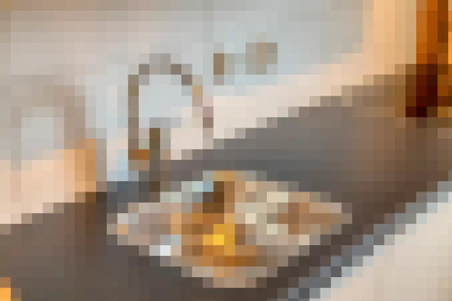 Noordkade 88 Spijkenisse thumbnail 19