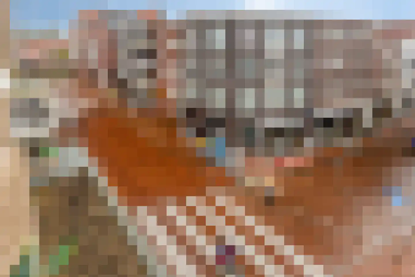 Noordkade 88 Spijkenisse thumbnail 22