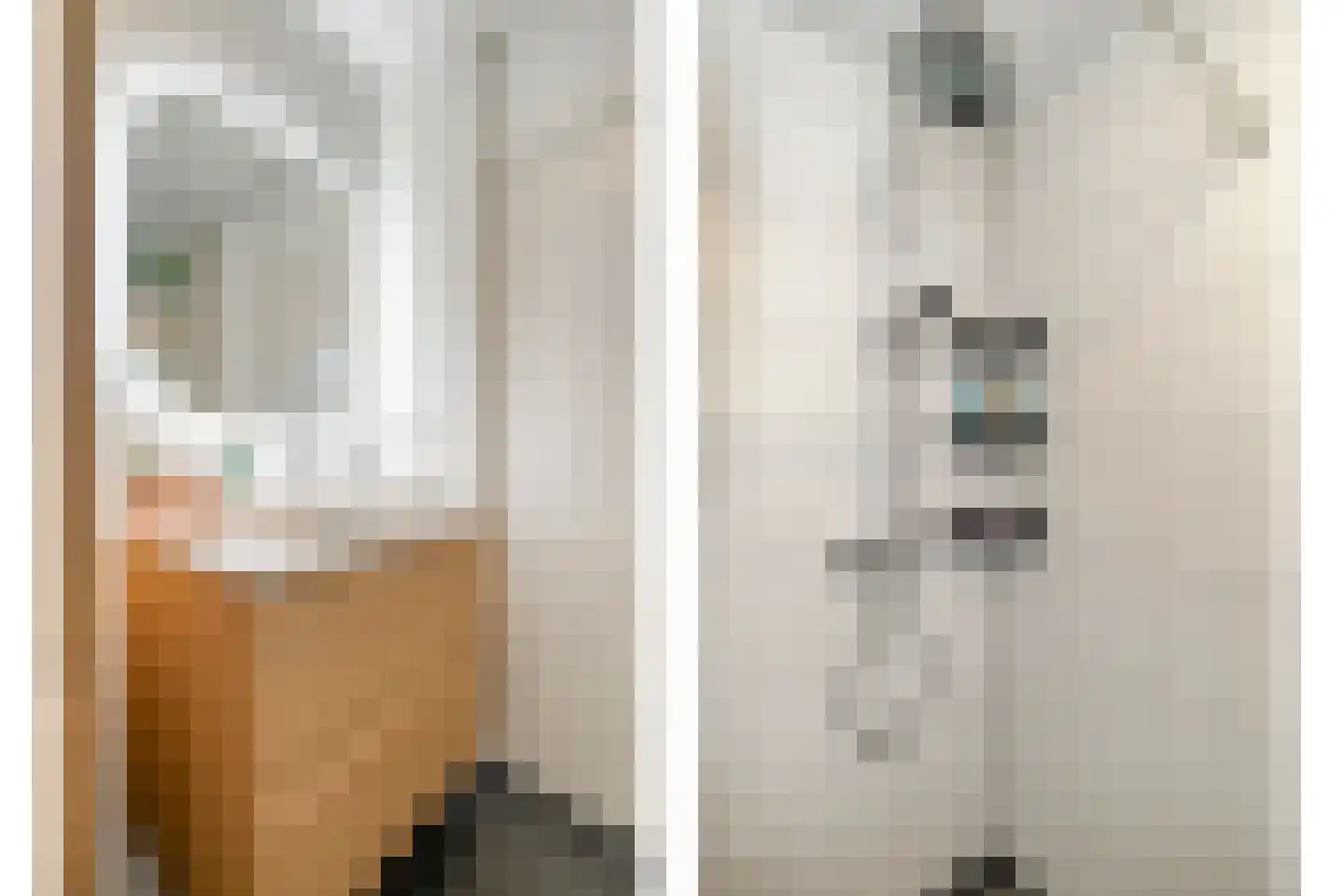 Noordkade 88 Spijkenisse thumbnail 29