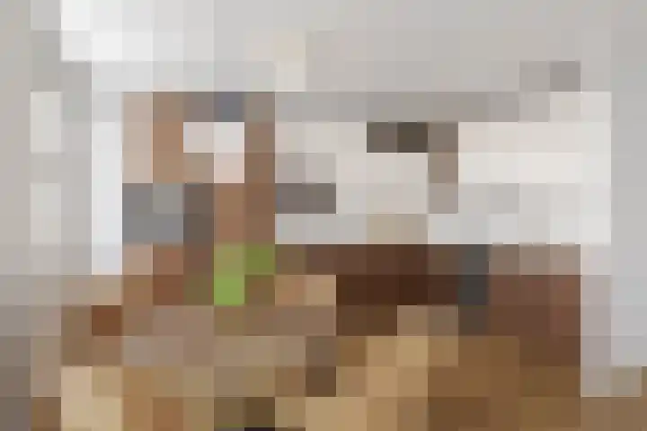 Noordkade 94 Spijkenisse thumbnail 10