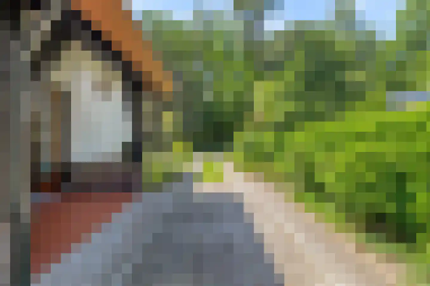 Noordkampen 2 Vierhouten thumbnail 11