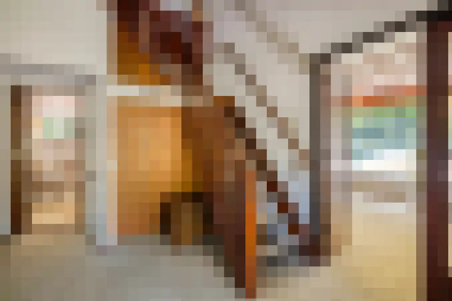 Noordkampen 2 Vierhouten thumbnail 13