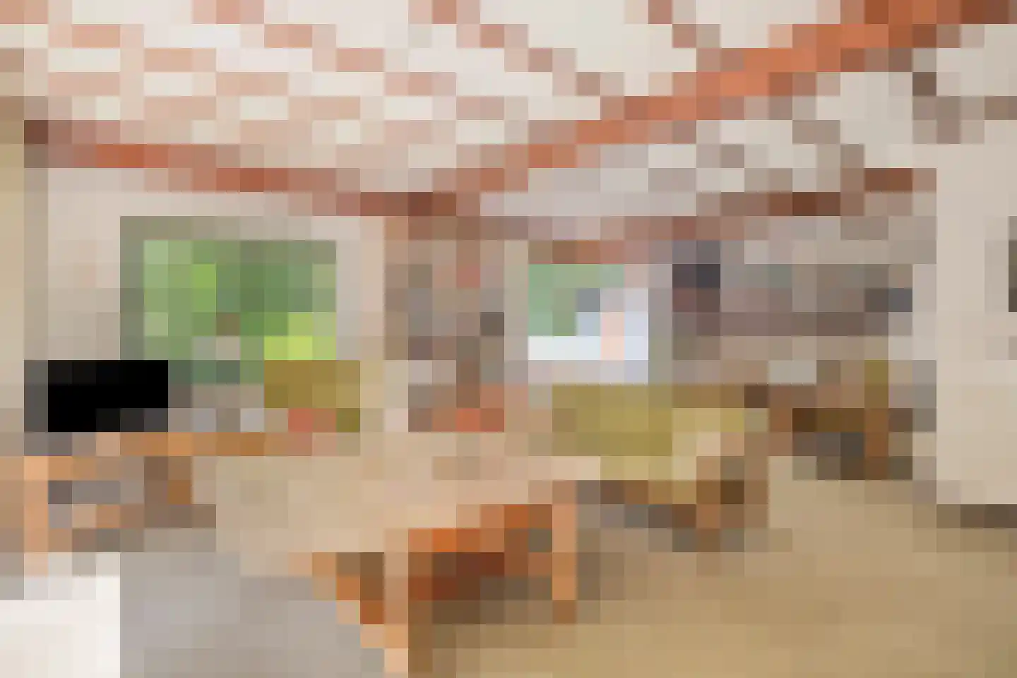 Noordkampen 2 Vierhouten thumbnail 19
