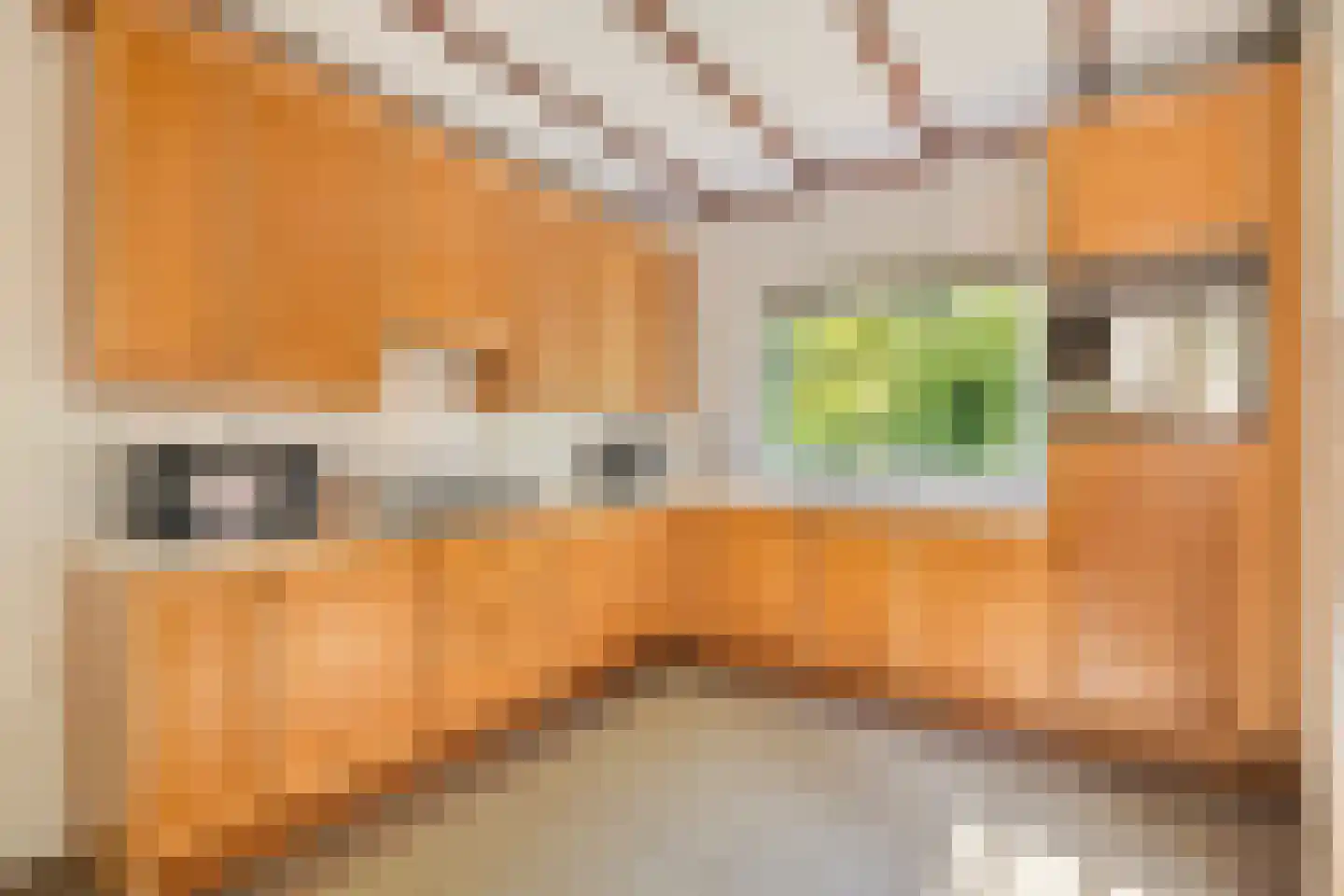 Noordkampen 2 Vierhouten thumbnail 25