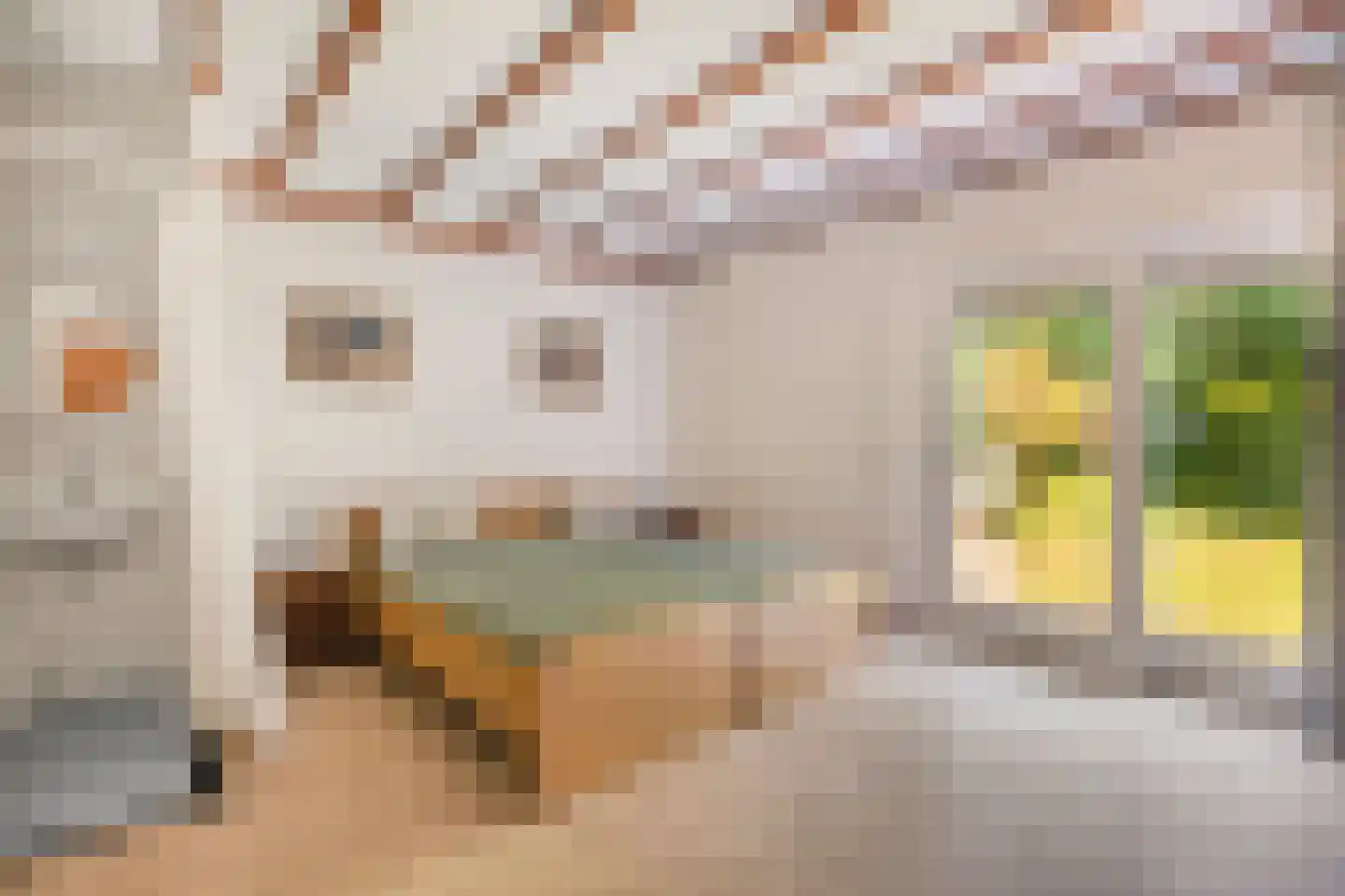 Noordkampen 2 Vierhouten thumbnail 27