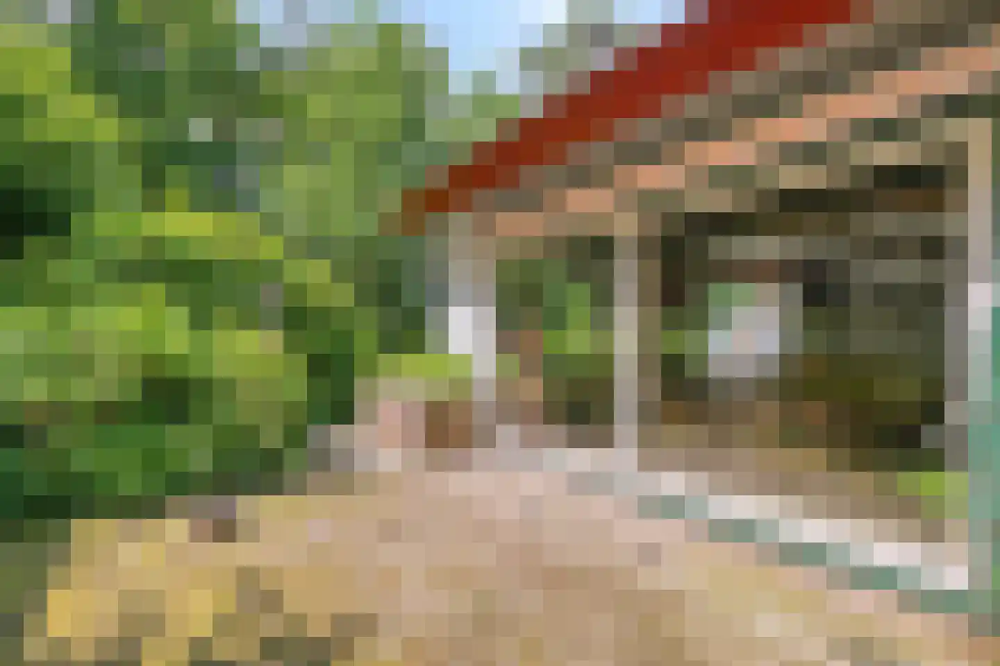 Noordkampen 2 Vierhouten thumbnail 41