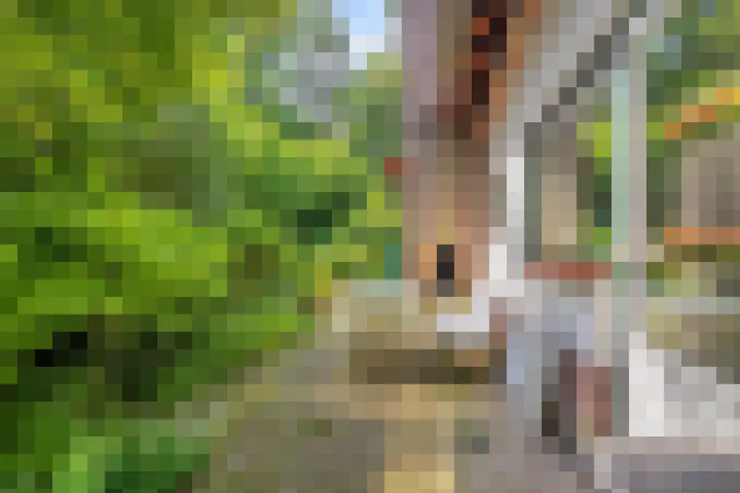 Noordkampen 2 Vierhouten thumbnail 42