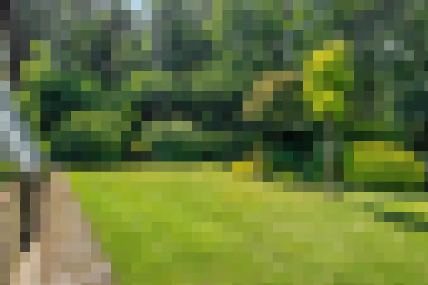 Noordkampen 2 Vierhouten thumbnail 44
