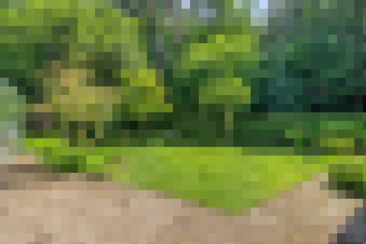 Noordkampen 2 Vierhouten thumbnail 48