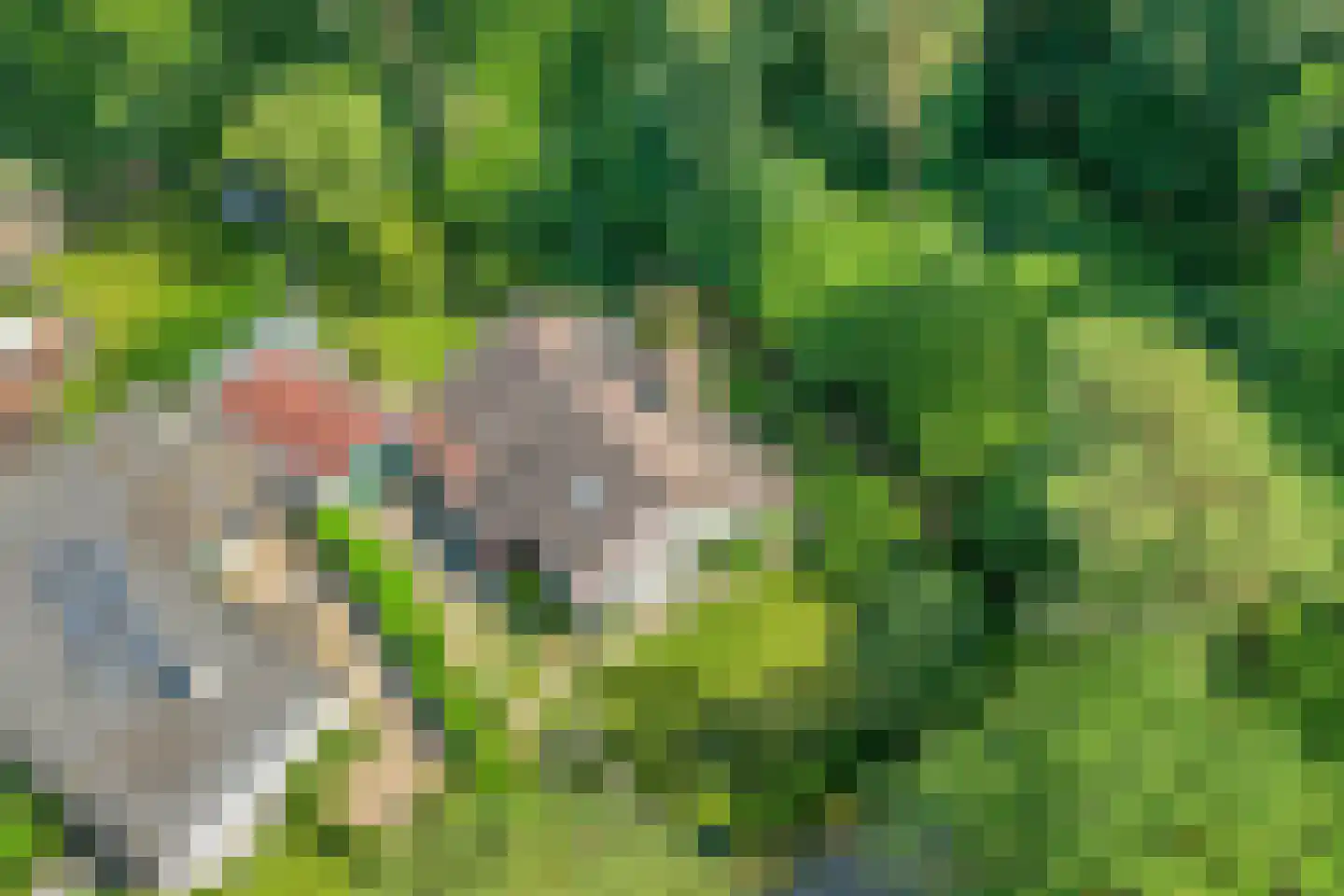 Noordkampen 2 Vierhouten thumbnail 50