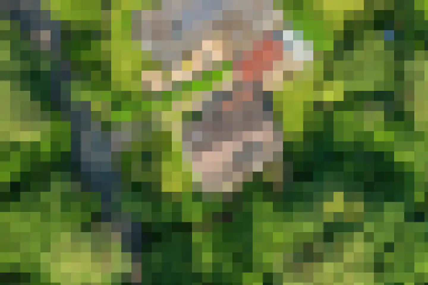 Noordkampen 2 Vierhouten thumbnail 51