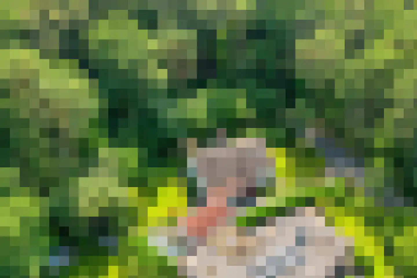 Noordkampen 2 Vierhouten thumbnail 52