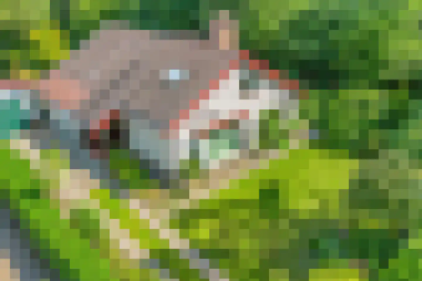 Noordkampen 2 Vierhouten thumbnail 54