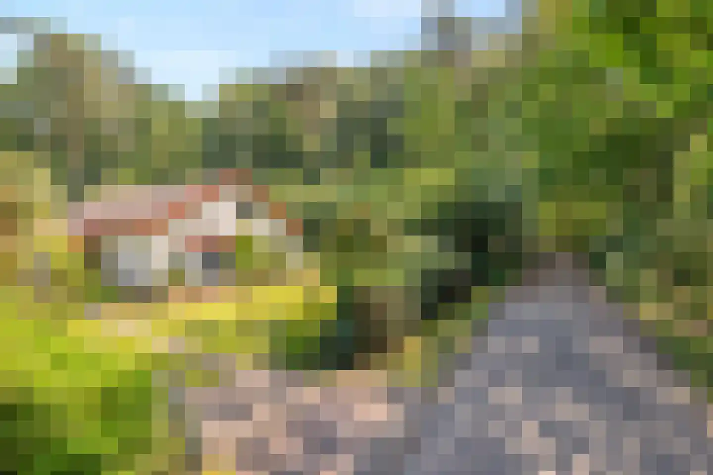 Noordkampen 2 Vierhouten thumbnail 6