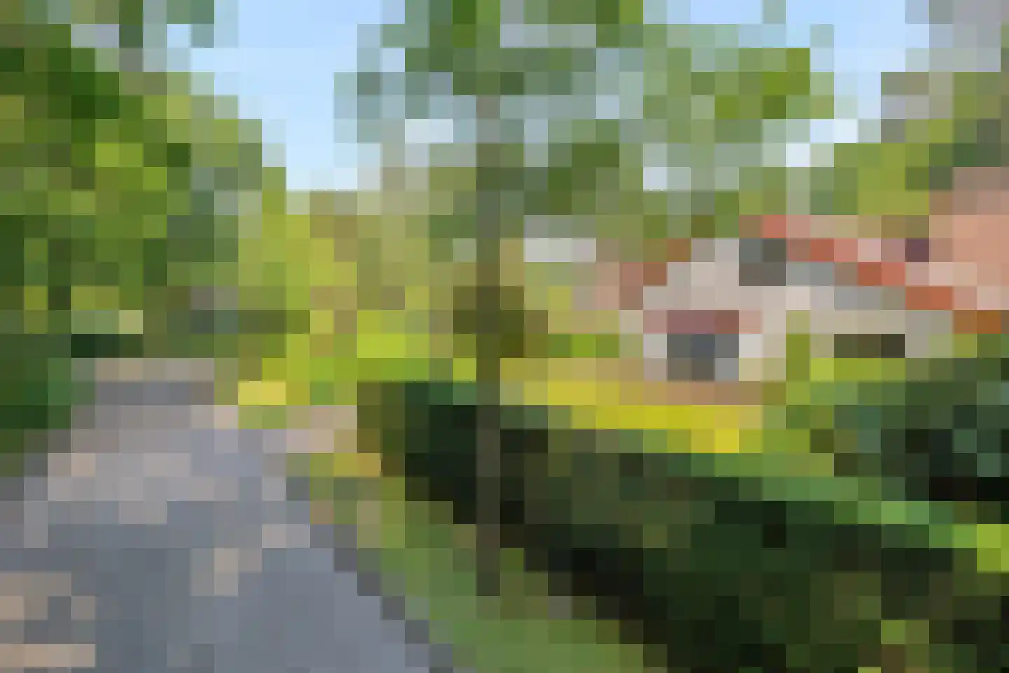 Noordkampen 2 Vierhouten thumbnail 7