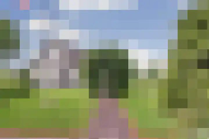 Noordkant 23 Sint Anthonis thumbnail 11
