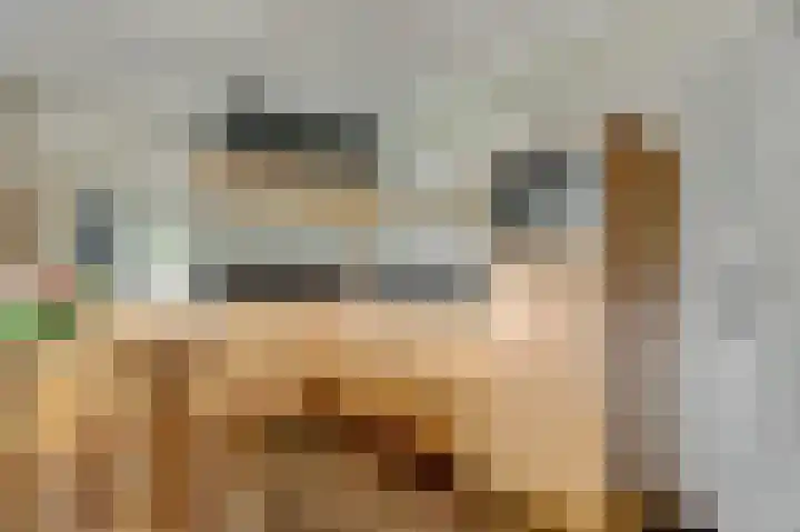 Noordkant 23 Sint Anthonis thumbnail 22