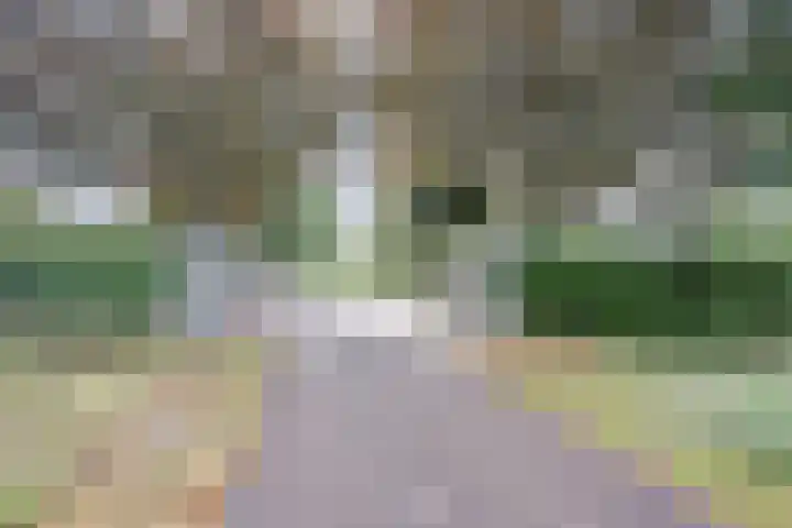 Noordkant 23 Sint Anthonis thumbnail 5