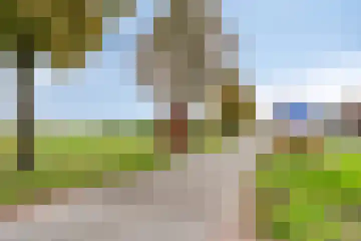 Noordkant 23 Sint Anthonis thumbnail 69