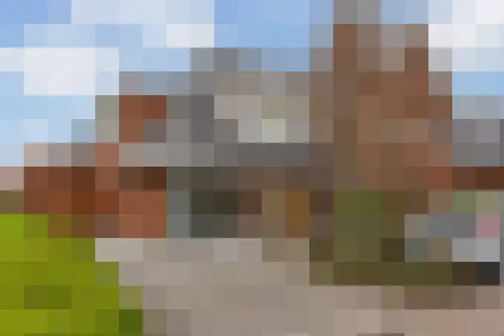 Noordkant 23 Sint Anthonis thumbnail 7
