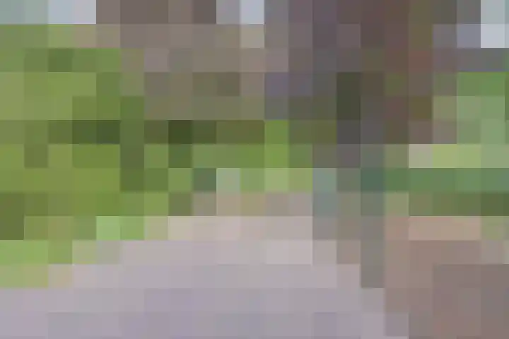 Noordkant 23 Sint Anthonis thumbnail 8