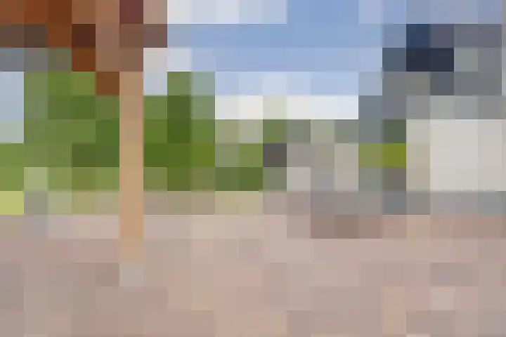 Noordkant 23 Sint Anthonis thumbnail 81