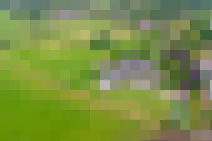 Noordkant 23 Sint Anthonis thumbnail 88