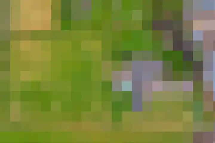 Noordkant 23 Sint Anthonis thumbnail 90