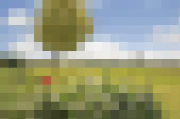 Noordkant 23 Sint Anthonis thumbnail 95