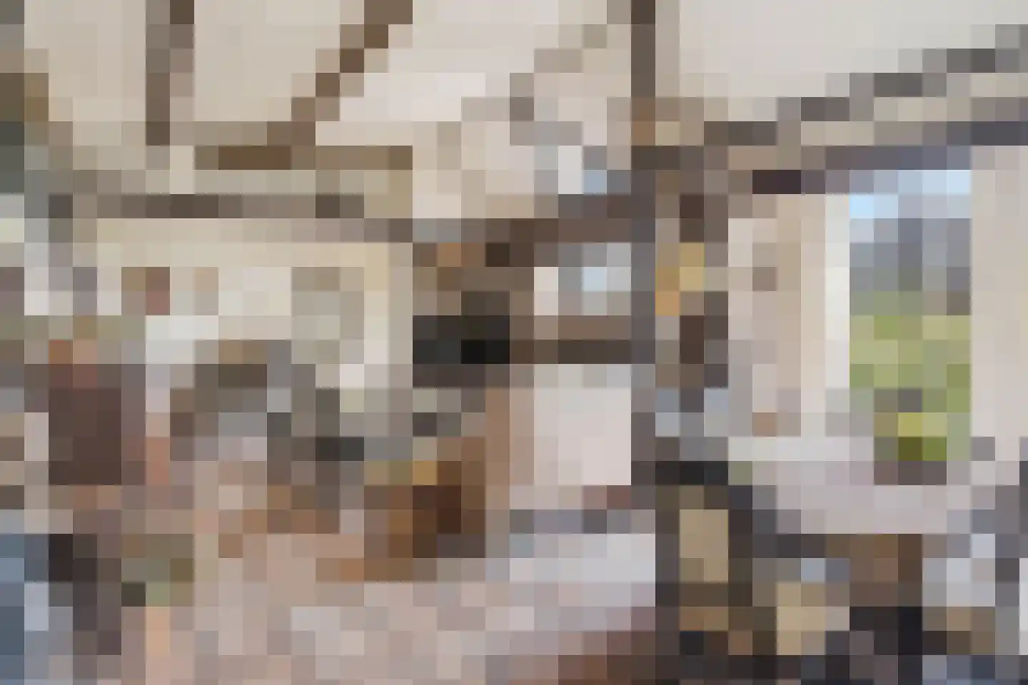 Noordkant 29 A Sint Anthonis thumbnail 4